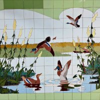 Донская природа! :: Надежда 