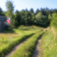 Дорога к дому :: Сергей 