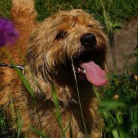 !!!!! :: kolyeretka !!!!! :: kolyeretka