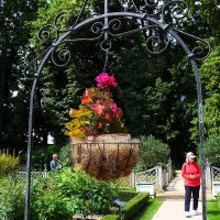 Садик лекарственных трав. :: Татьяна Помогалова Садик лекарственных трав. :: Татьяна Помогалова