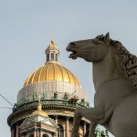 Петербургские кони (3) :: Игорь Викторов