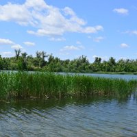 Местные виды. :: Виктор Местные виды. :: Виктор