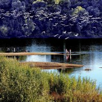 Под крики чаек... :: Николай Рубцов Под крики чаек... :: Николай Рубцов