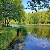 Природа июня. :: Лия ☼