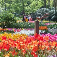 Белка парка Кекенхоф :: Валерий Готлиб Белка парка Кекенхоф :: Валерий Готлиб