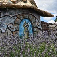 Мышка - фотограф :: Александр 