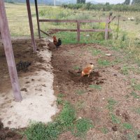 Talgar. :: Murat Bukaev 