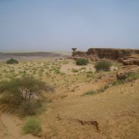 Здесь начинается пустынное плато Аир. :: unix (Илья Утропов)