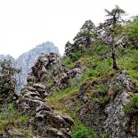 ПО ГОРАМ. :: Виктор Осипчук