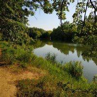 И жарко даже в тени :: Андрей Лукьянов