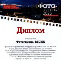 Награда  за  участие  в  выставке  проекта  Реверберация   в Калуге :: Вера ВЕСНА см. Фотогруппа  ВЕСНА Личный Блог