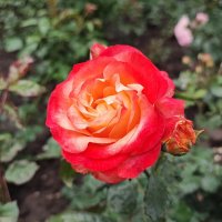 ,,, :: Сергей Тимоновский