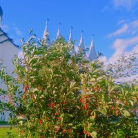 Летний вечер в могастыре :: Сергей Кочнев