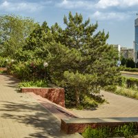 Аллея :: Анатолий Чикчирный