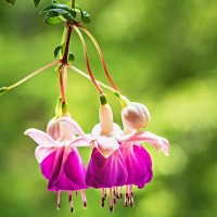 3874 :: Alex . 3874 :: Alex .