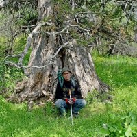 ГОРНЫЙ ДРУГ. :: Виктор Осипчук ГОРНЫЙ ДРУГ. :: Виктор Осипчук