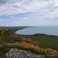 Природа Крыма :: Amazing Cosmea