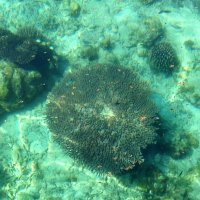 Аденский залив :: Игорь Матвеев 