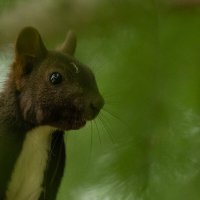 2 :: Сергей Флетчер