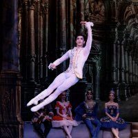 Балет "Спящая красавица" :: Марк Еленцов