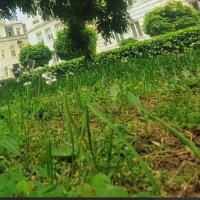 ЛЕ БО 3 (72) :: CLOSE WAYS ALL