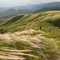 Седые Карпаты :: А  И М