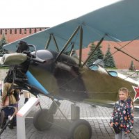 Легендарная "уточка" :: Дмитрий Никитин