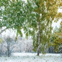 Начало октября :: александр 