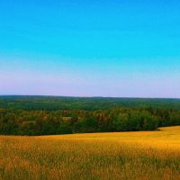 Лаконичность удмуртского пейзажа... :: Леонид Абросимов