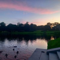 Закат и утки :: Сапсан 