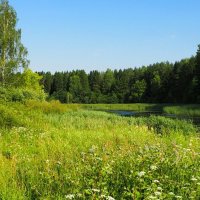 Смоленщина в июле. :: Милешкин Владимир Алексеевич 