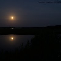 Луна-стиляга :: Алексей Харькин