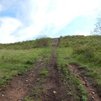 Гора Титовская сопка :: Екатерина Панова