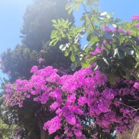 В Турции :: Валентина Богатко В Турции :: Валентина Богатко