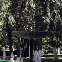 На фонтане :: Юрий Гайворонскiий