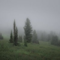 * :: Александр Иванов