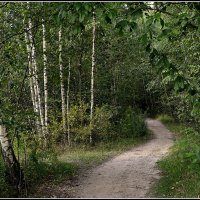 *** :: Aleksandr Gal