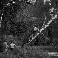 Прыжки в воду... :: emelka2 