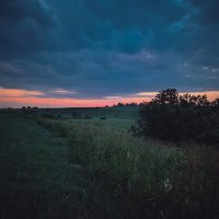 Поздний вечер в поле :: Sergei Vikulov