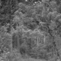 Размышление. :: Екатерина Маринина