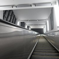 "Stairway to Heaven" :: Дмитрий И_