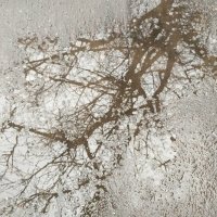 Даже лужа может быть креативной :: Натали 