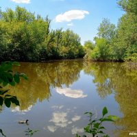 В ростовском зоопарке :: Нина Бутко В ростовском зоопарке :: Нина Бутко