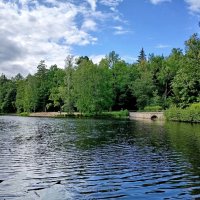 Озеро "Зелёное". :: Лия ☼ Озеро "Зелёное". :: Лия ☼