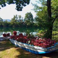 Летнее утро.. :: Татьян@ Ивановна