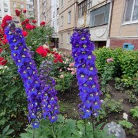 ,,, :: Сергей Тимоновский