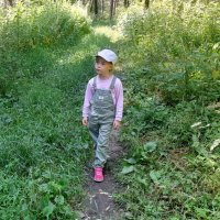 Размышления в лесу . :: Мила Бовкун