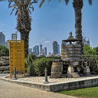 Тель-Авив11,07,2025г :: ujgcvbif 