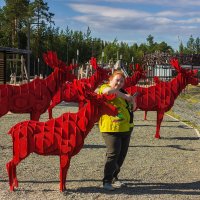 Пастух своих лосей :: Дмитрий Костоусов