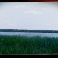 Озеро Подборное. :: Игорь Солдаткин